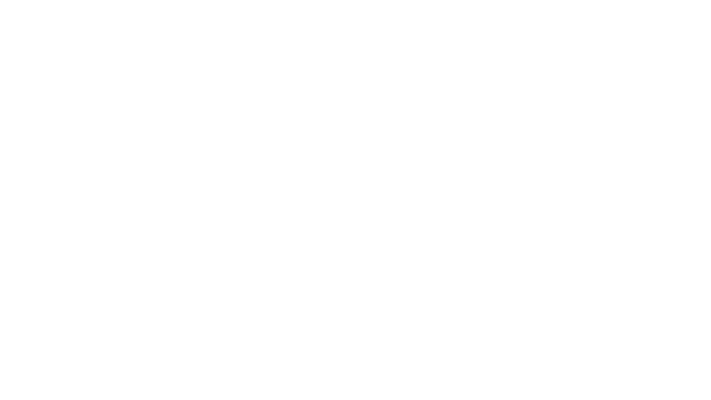 Original Vox harmonika